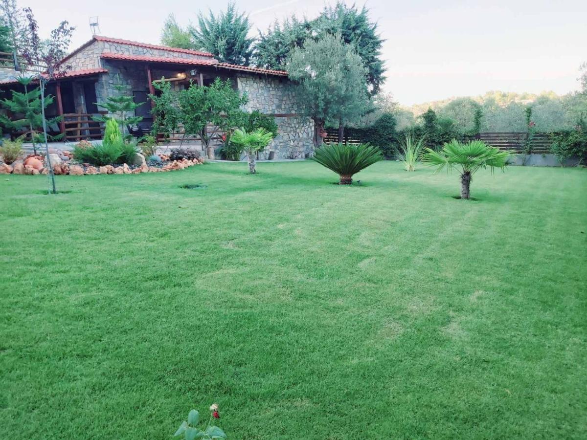 Dimitris Villas - Villa 4 Ormos Panagias Eksteriør billede